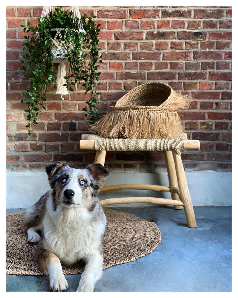 The Macrame hanging basket - White - M